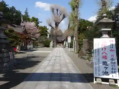 亀ケ池八幡宮のその他建物