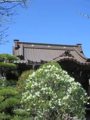 大巧寺のその他建物