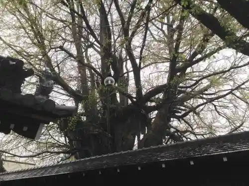 善福寺のその他建物