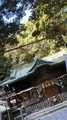 調神社(埼玉県)