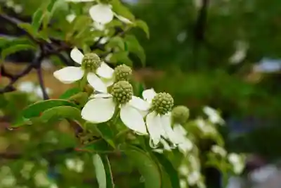 大松禅寺(京都府)