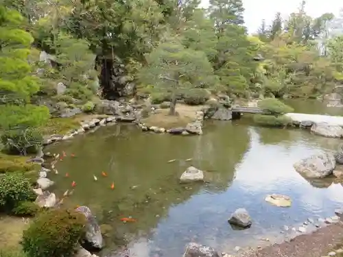 仁和寺の庭園