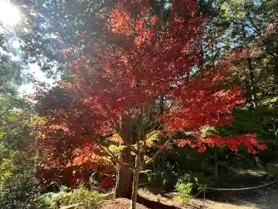 常樂寺(滋賀県)