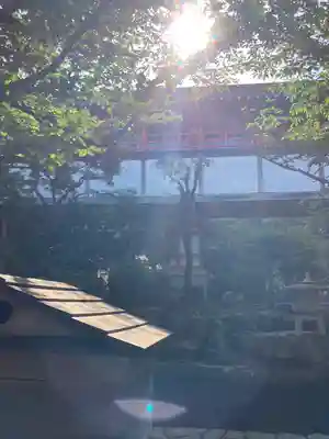 射楯兵主神社(兵庫県)