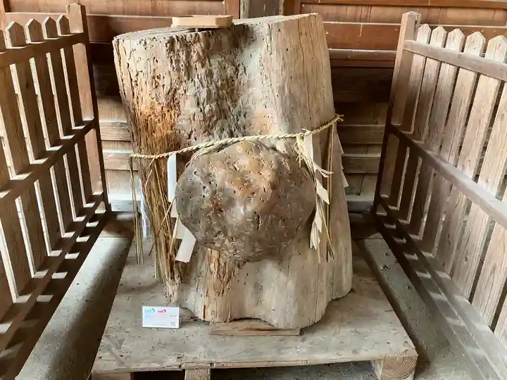 許波多神社(五ケ庄鎮座)(京都府)