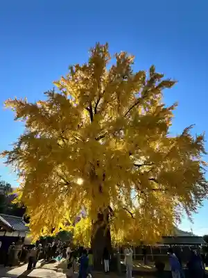 丹生酒殿神社(和歌山県)