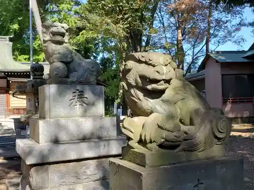 下高井戸八幡神社の狛犬