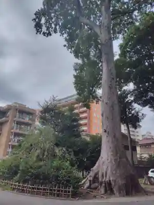 大國魂神社(東京都)
