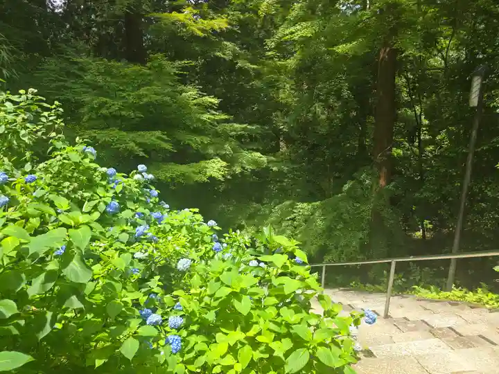 金剛輪寺(滋賀県)