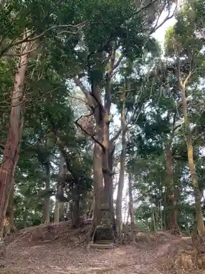 浅間神社の自然