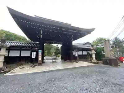 京都乃木神社(京都府)