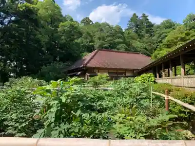 飯高寺(千葉県)