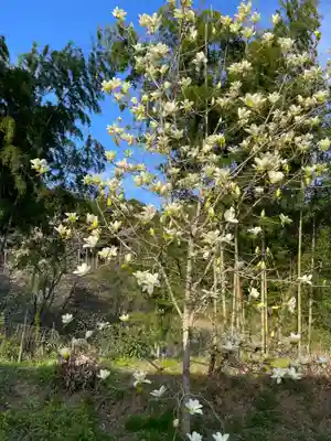 高照寺(兵庫県)