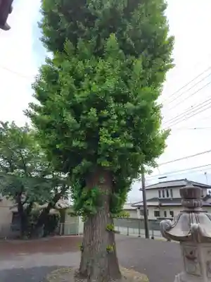 西勝寺(茨城県)
