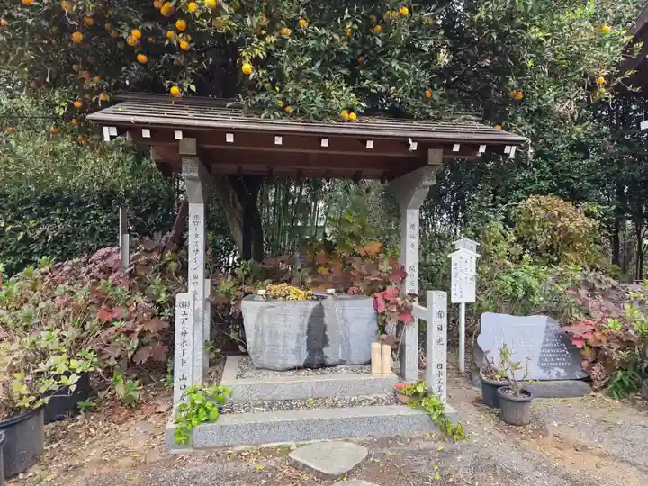 蓮田東照宮(埼玉県)