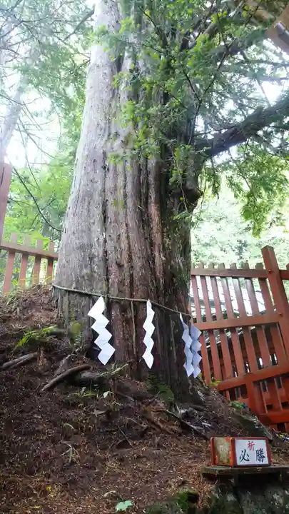 日光二荒山神社中宮祠(栃木県)