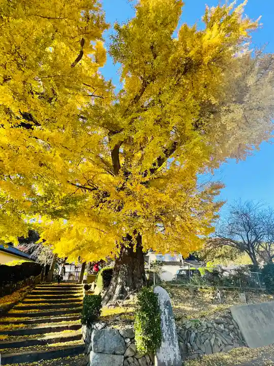 吉祥寺(宮城県)