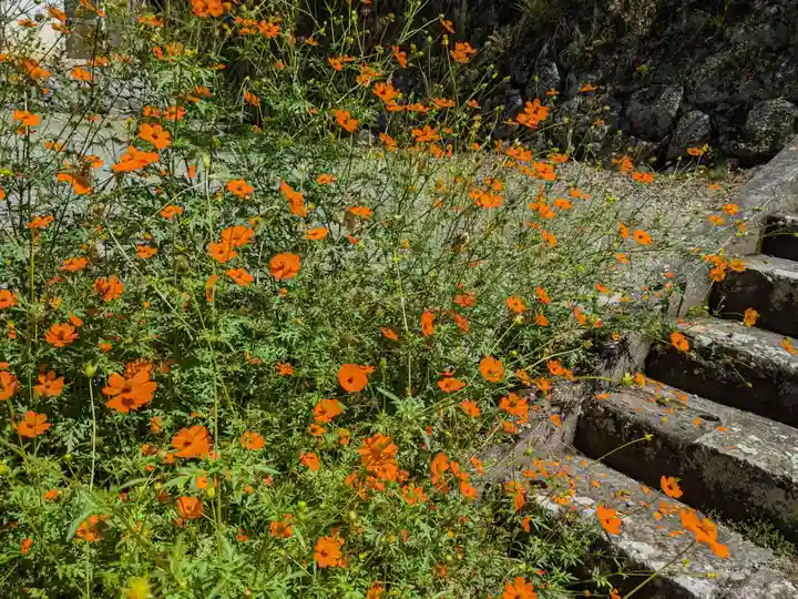 夫婦木神社の自然