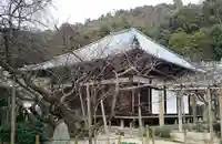 大宝寺の本殿・本堂