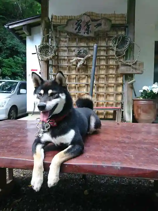 佛性寺(黒谷観音)の動物