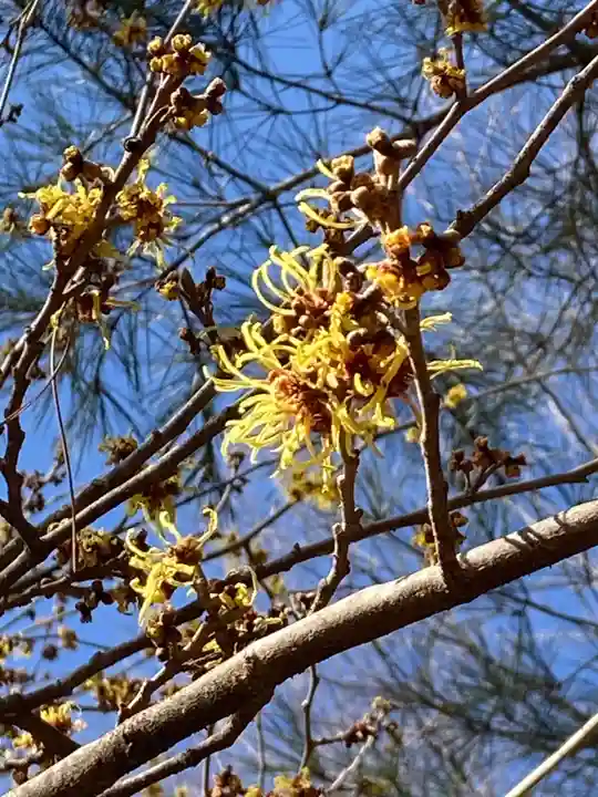 十二山神社(群馬県)