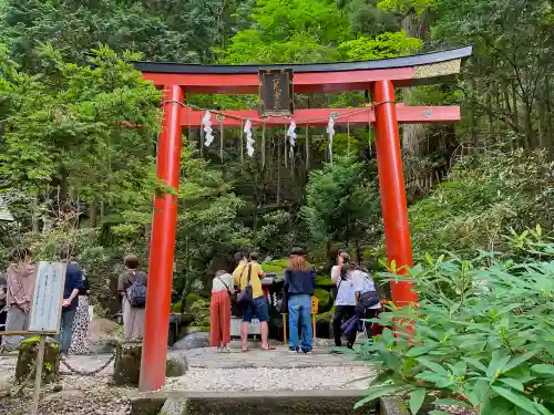 日光二荒山神社の鳥居