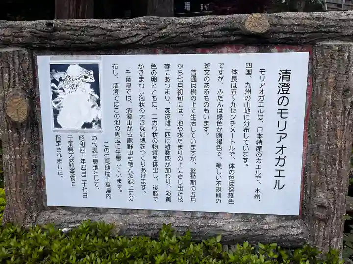 清澄寺(千葉県)