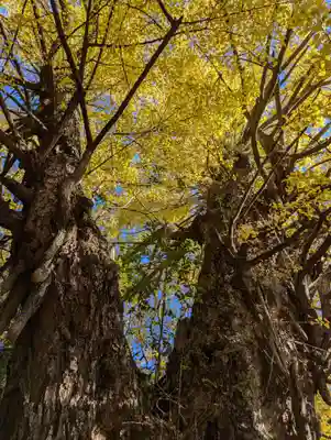 赤坂氷川神社(東京都)
