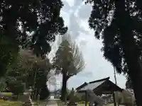 淺井神社の庭園