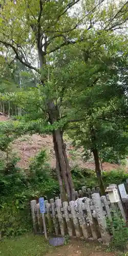 月読神社（松尾大社摂社）の自然