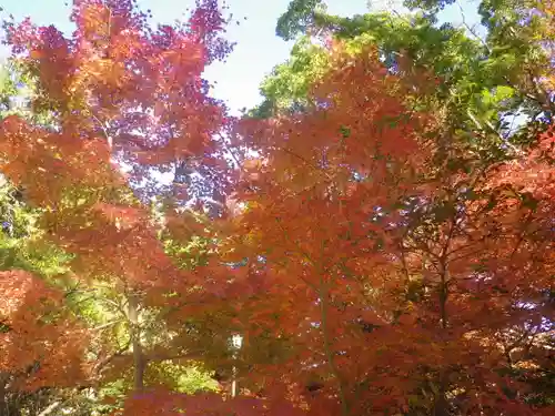 鶴岡八幡宮の自然