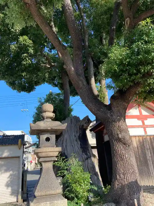 姫嶋神社の自然