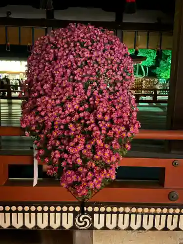武蔵一宮氷川神社(埼玉県)