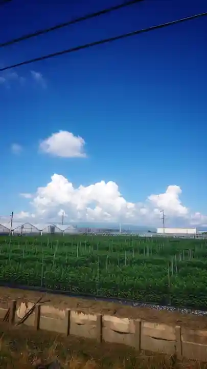 白山社(井堀)の周辺