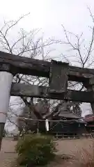 和泉神社の鳥居