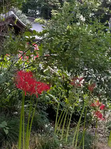 国上寺(新潟県)