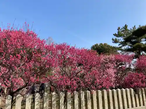 曽根天満宮の庭園