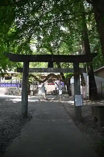 下野 星宮神社(栃木県)