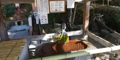 出雲大神宮の手水舎