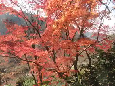 三室戸寺(京都府)