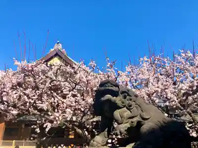 湯島天満宮の狛犬