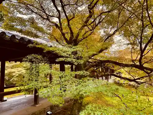 東福禅寺（東福寺）(京都府)