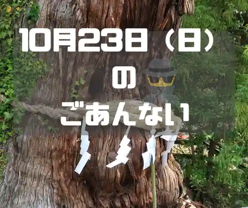 大國魂神社の自然