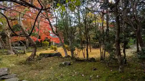 栖賢寺(京都府)