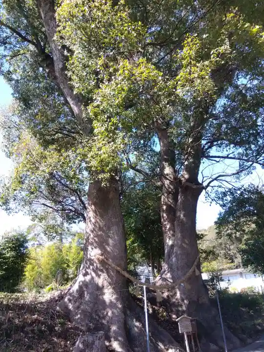 細江神社(静岡県)