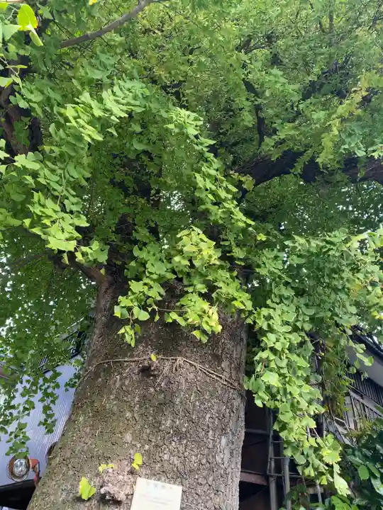 橋場寺不動院(橋場不動尊)(東京都)