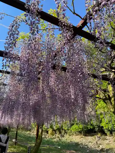 和氣神社（和気神社）(岡山県)