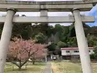 舞岡八幡宮の{uncategorized: "未分類", other: "その他", undefined: "問題あり", building: "その他建物", grave: "お墓", sacred_gate: "鳥居", guardian: "狛犬", statue: "像", buddha: "仏像", history: "歴史", nature: "自然", garden: "庭園", animal: "動物", pagoda: "塔", temizu: "手水舎", mountain_gate: "山門・神門", sanctuary: "本殿・本堂", subordinate: "末社・摂社", art: "芸術", scenery: "景色", jizo: "地蔵", ema: "絵馬", goshuin: "御朱印", omikuji: "おみくじ", items: "授与品その他", amulet: "お守り", goshuincho: "御朱印帳", eats: "食事", festival: "お祭り", votive_dance: "神楽", shichigosan: "七五三参", wedding: "結婚式", experience: "体験その他", initially: "初詣", around: "周辺", anti_infection: "感染症対策"}