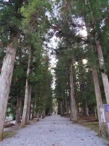 大斎原（熊野本宮大社旧社地）(和歌山県)