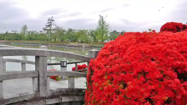 長岡天満宮の庭園